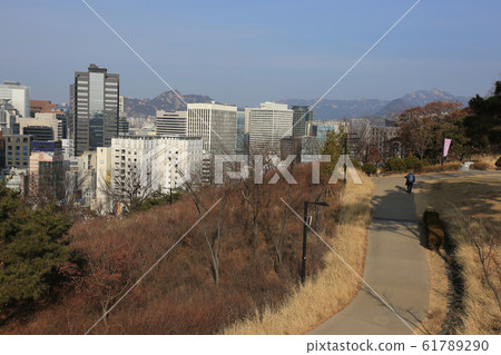 首爾,南山,大城路 首爾,南山,大城路 61789290