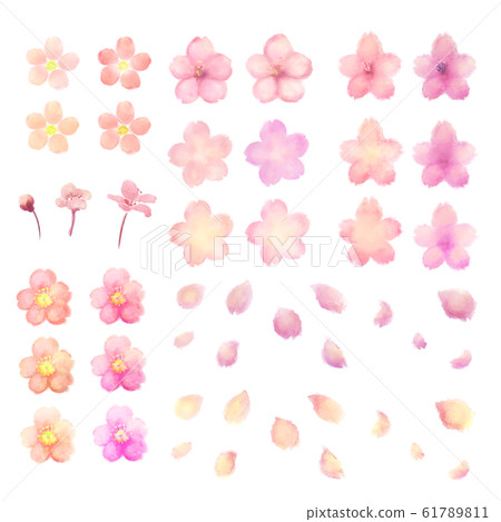 櫻花(水彩) 櫻花(水彩) 61789811