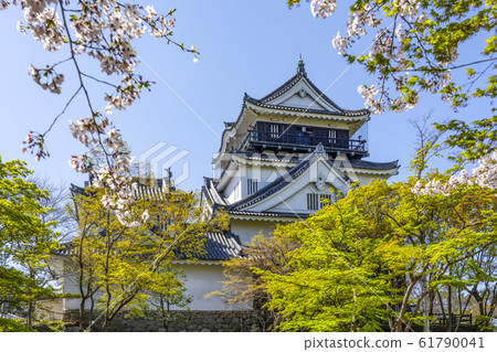 Okazaki Castle seen from the north 61790041