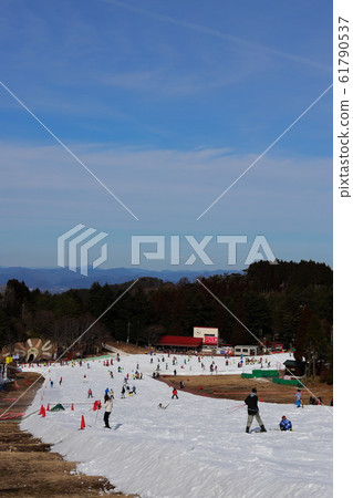 Skiing Skiing 61790537