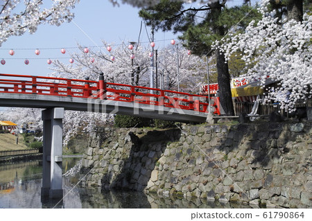 Okazaki Park Sakura Festival Okazaki Park Sakura Festival 61790864
