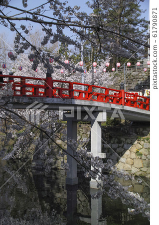 Okazaki Park Sakura Festival Okazaki Park Sakura Festival 61790871