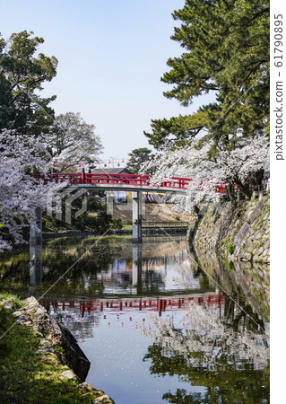 Okazaki Park Sakura Festival Okazaki Park Sakura Festival 61790895
