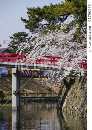Okazaki Park Sakura Festival Okazaki Park Sakura Festival 61790926
