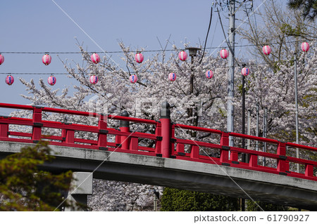 Okazaki Park Sakura Festival Okazaki Park Sakura Festival 61790927