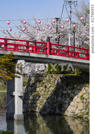 Okazaki Park Sakura Festival Okazaki Park Sakura Festival 61790953