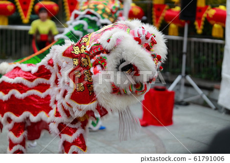 Lion dance in Chinatown Lion dance Lion 61791006