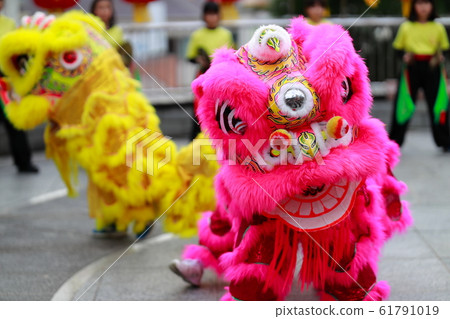 Lion dance in Chinatown Lion dance Lion 61791019