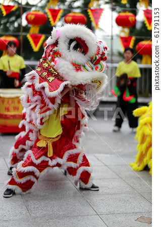 Lion dance in Chinatown Lion dance Lion Lion dance in Chinatown Lion dance Lion 61791153