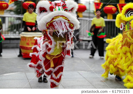 Lion dance in Chinatown Lion dance Lion 61791155