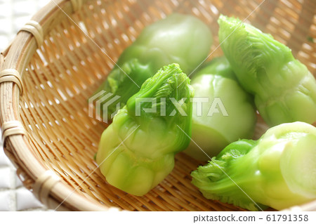 Spring vegetable buds Spring vegetable buds 61791358