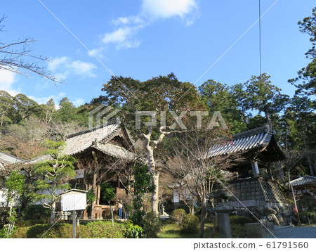 Niu's master Woman Takano Jinguji Temple Niu's master Woman Takano Jinguji Temple 61791560