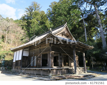 牛的主人女人高野神二寺 61791561