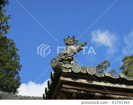 Niu's master Woman Takano Jinguji Temple 61791565