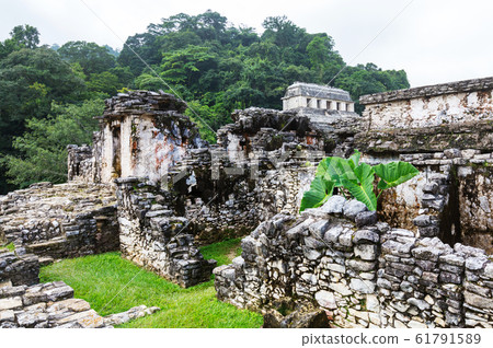 Ruins in Mexico 61791589