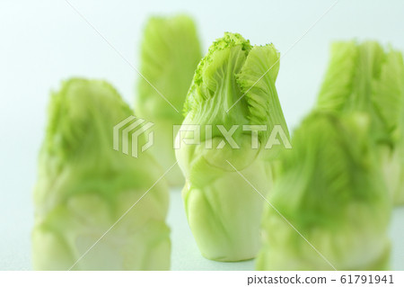Close up of spring vegetable buds Close up of spring vegetable buds 61791941