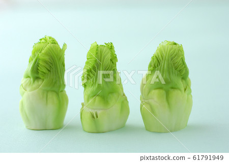 春季蔬菜芽的特寫 61791949