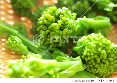 春季蔬菜強奸的圖像照片 61792161