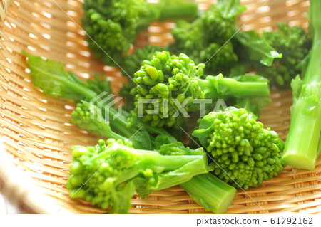Image photo of spring vegetable rape Image photo of spring vegetable rape 61792162