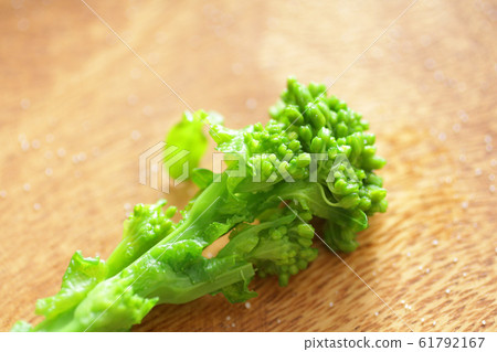 Image photo of spring vegetable rape Image photo of spring vegetable rape 61792167