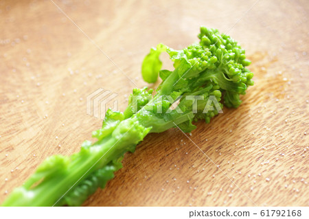 Image photo of spring vegetable rape Image photo of spring vegetable rape 61792168