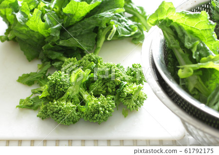 Image photo of spring vegetable rape Image photo of spring vegetable rape 61792175