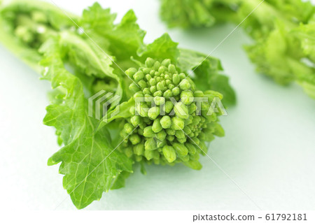 Image photo of spring vegetable rape Image photo of spring vegetable rape 61792181