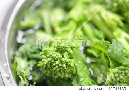 Rape blossoms of spring vegetables Rape blossoms of spring vegetables 61792185