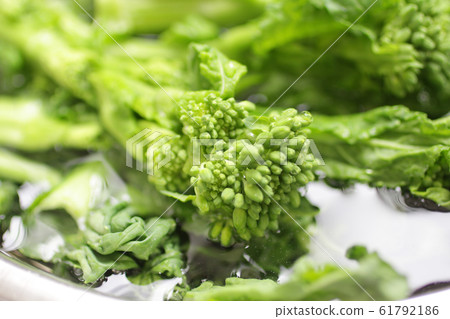 Image photo of spring vegetable rape Image photo of spring vegetable rape 61792186