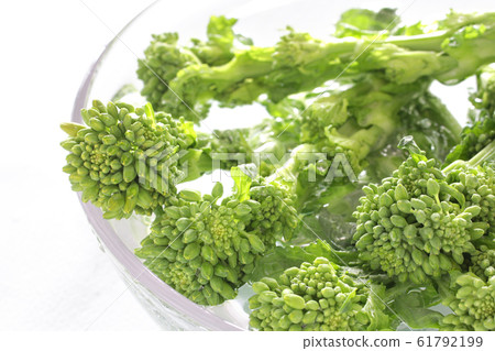 Image photo of spring vegetable rape Image photo of spring vegetable rape 61792199
