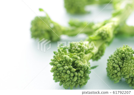 Image photo of spring vegetable rape Image photo of spring vegetable rape 61792207
