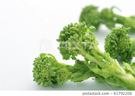 Image photo of spring vegetable rape Image photo of spring vegetable rape 61792208
