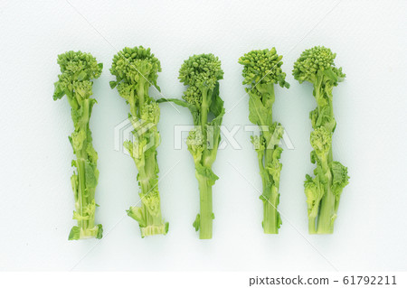 Image photo of spring vegetable rape Image photo of spring vegetable rape 61792211