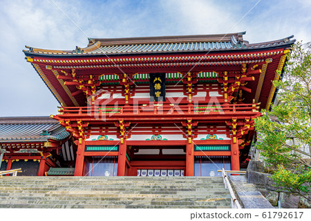 [神奈川縣]鎌倉鶴岡八man宮 61792617