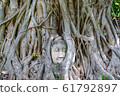 A stone Buddha head in the roots of a tree, taken 61792897