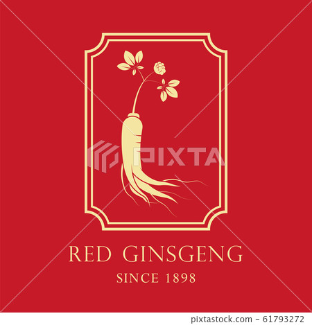 Red korean or chinese ginseng root illustration. Red korean or chinese ginseng root illustration. 61793272