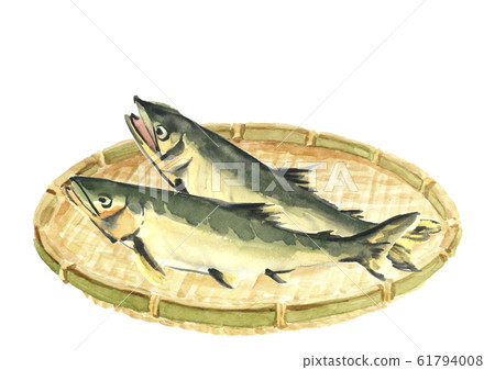 Ayu watercolor ayu fish colander 61794008