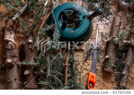 End of christmas fir tree cut into pieces End of christmas fir tree cut into pieces 61795508