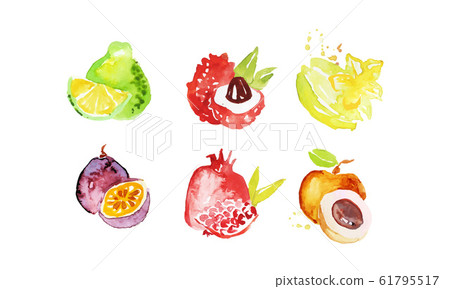 Juicy Ripe Tropical Fruit Collection, Pomelo, Lychee, Carambola, Pomegranate, Mangosteen, Peach Watercolor Hand Painting Vector Illustration 61795517