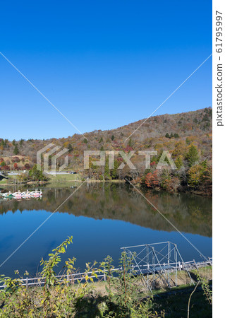 [Aichi Prefecture] Chausuyama Kogen Autumn leaves 61795997