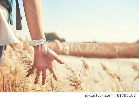 Korean young woman backpacking. 61796198