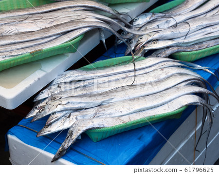 Hairtails lined up in a fish store Hairtails lined up in a fish store 61796625