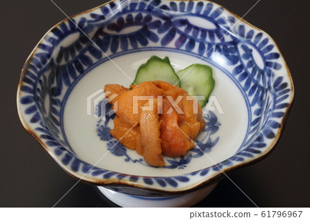 海膽 海膽 61796967