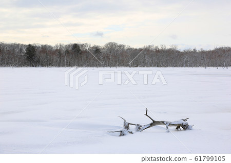 諾索克半島（Notsuke Peninsula）的景色已經開始逐漸消失[納拉瓦拉附近] 61799105