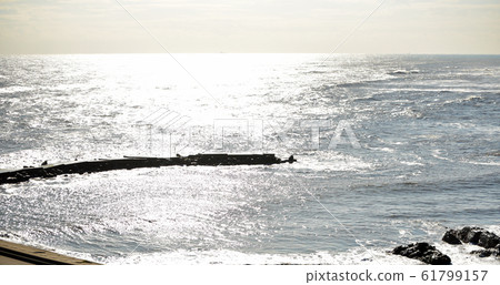 (Chiba / Isumi-shi / Ohara-cho / Obama Castle Ruins / Cape Yawata / Tanegaura) << Sea of Tanegaura seen from the Cape >> [December in December] 61799157