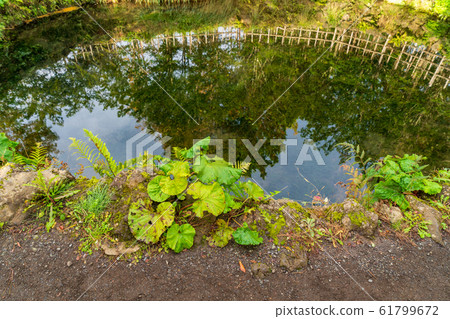 Oshino Hakkai Choshi Pond Yamanashi 61799672