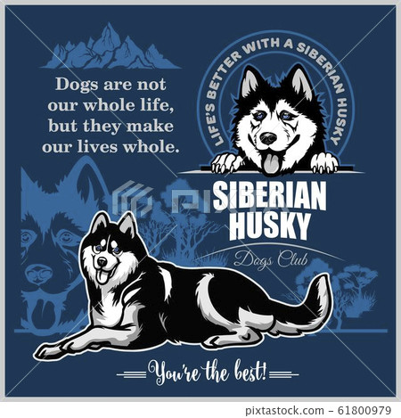 can a siberian husky live in french southern territories