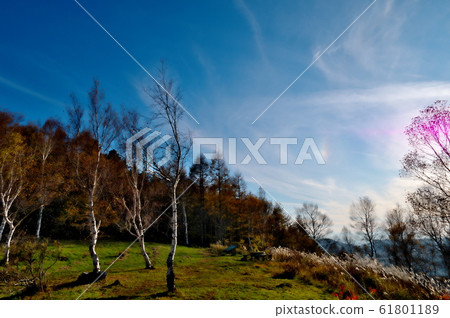 Lake Megami Mt.Tateshina Autumn leaves 61801189