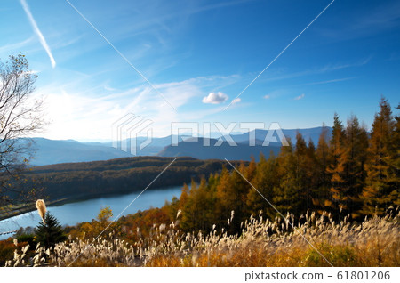 梅加米湖立照山秋葉 梅加米湖立照山秋葉 61801206