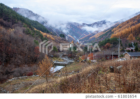 在秋天的紅葉秋山風光 61801654